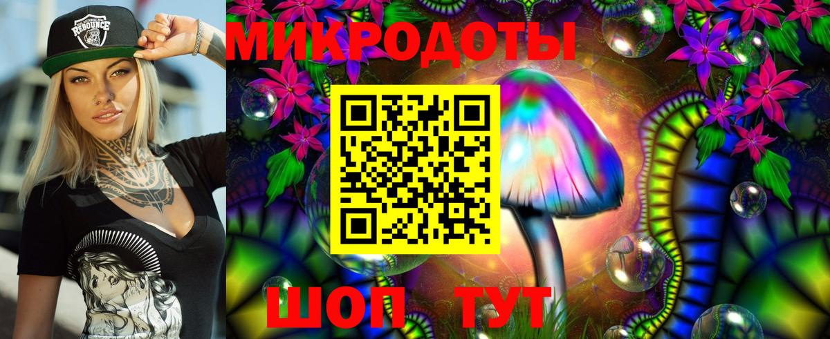 Галлюциногенные грибы Cubensis Холмск