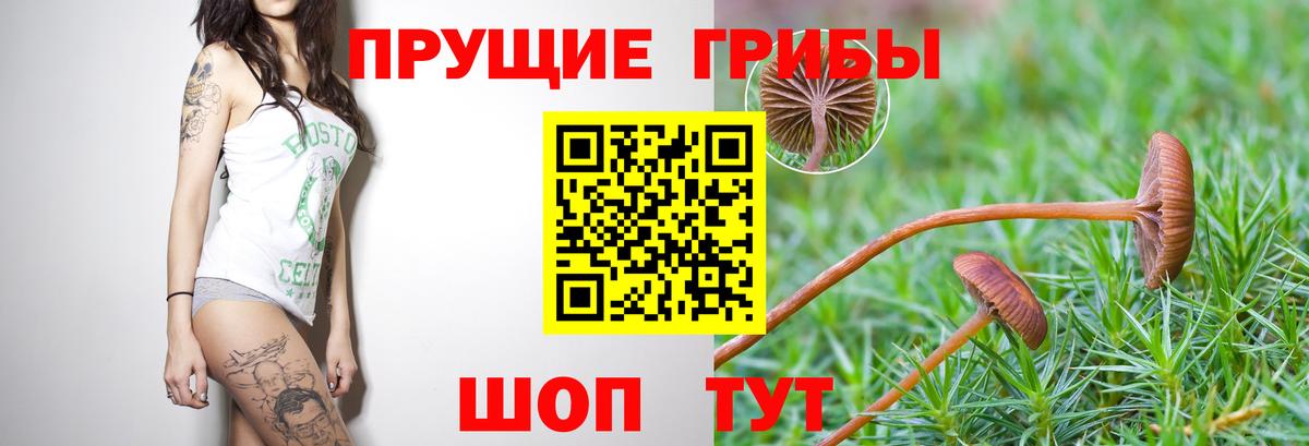 Холмск  сколько стоит  Галлюциногенные грибы Magic Shrooms  Вход с VPN  Псилоцибиновые грибы прущие грибы 