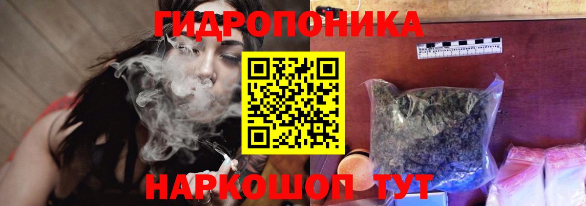 МАРИХУАНА сатива Холмск